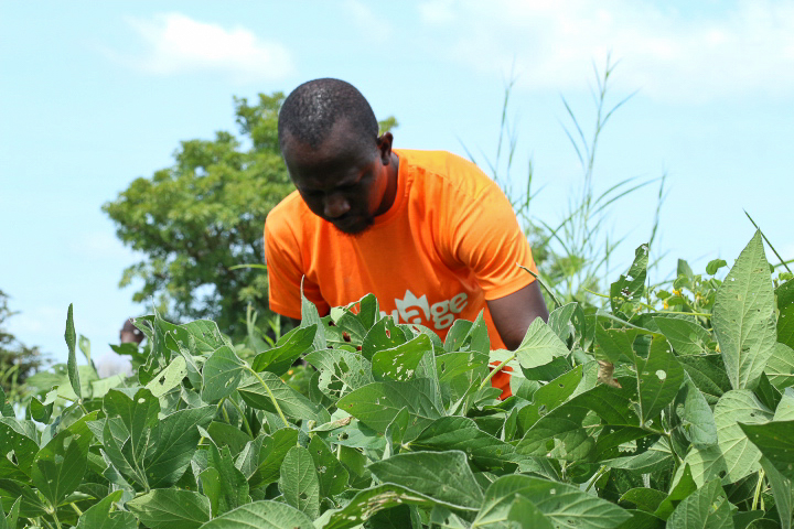 Importance Of Farm Record Keeping AgriGold Magazine